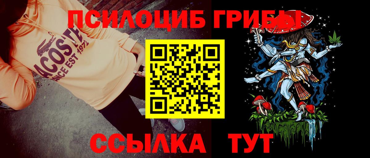 Псилоцибиновые грибы Magic Shrooms Алексин